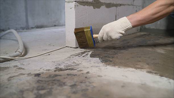 SJ Waterproofing Pros Basement Waterproofing coverage map for Zeeland, MI and surrounding area